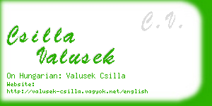 csilla valusek business card